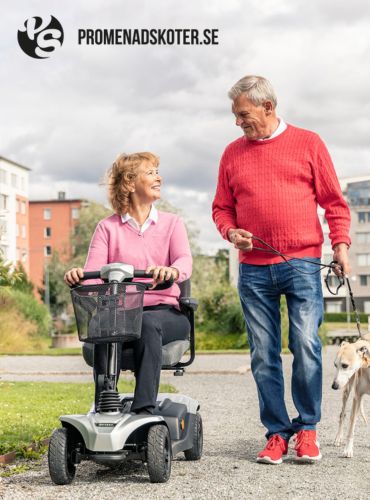 Olle Olsson Bolagen. Varumärkesportfölj - Promenadskoter